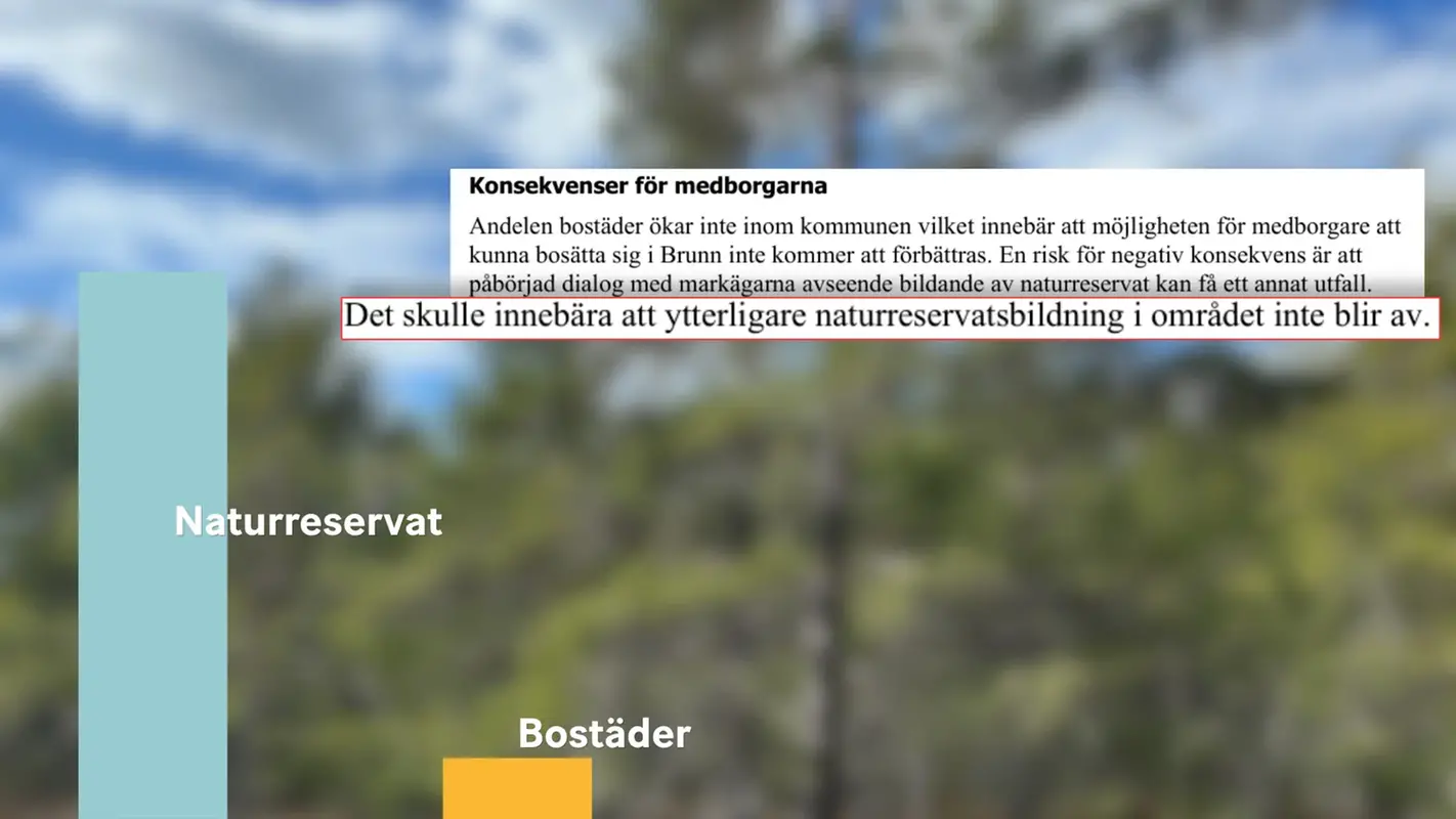 Montage. Två staplar, en stapel är tio gånger större än den andra. Den större representerar det tilltänkta naturreservatets yta, den mindre representerar ytan för bostäder. I bilden finns även en text som beskriver risken att ett naturreservat inte blir av. I bakgrunden en skog.