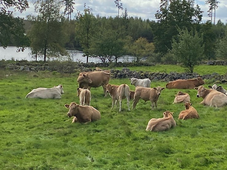 Släthults gård, Gislaved